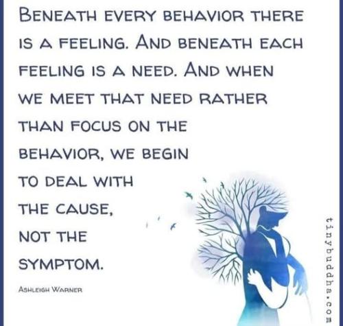 513084414_732461509670044_1829261200103960701_n