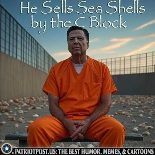 01JWTTVDP1S0RDB8GSE9AM13P1