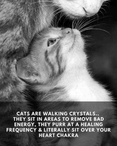 506279307_701427765928633_7008789361383724259_n