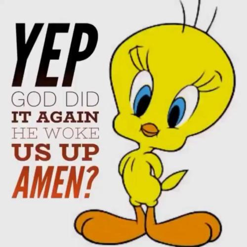 bf5320169d20307a286e1ad9c4218f16