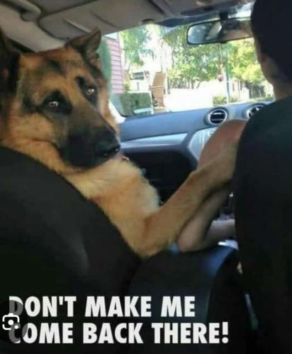 FB_IMG_1749022881451