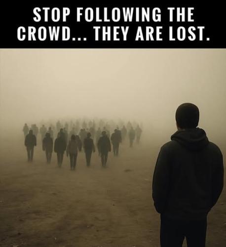 489339574_680152164534599_5731356291263250522_n