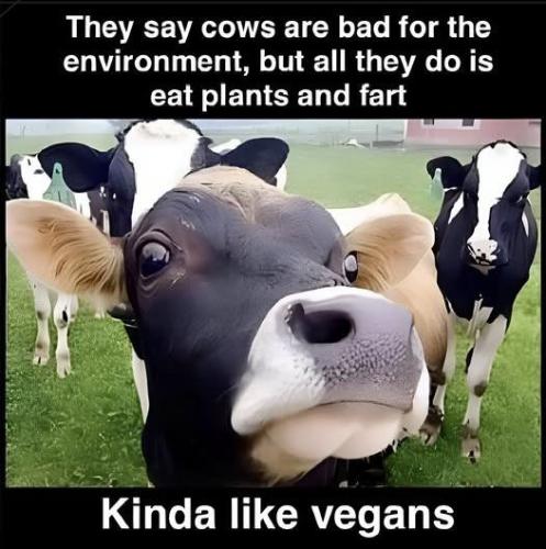 494304210_2517935698542438_7320724278567342411_n