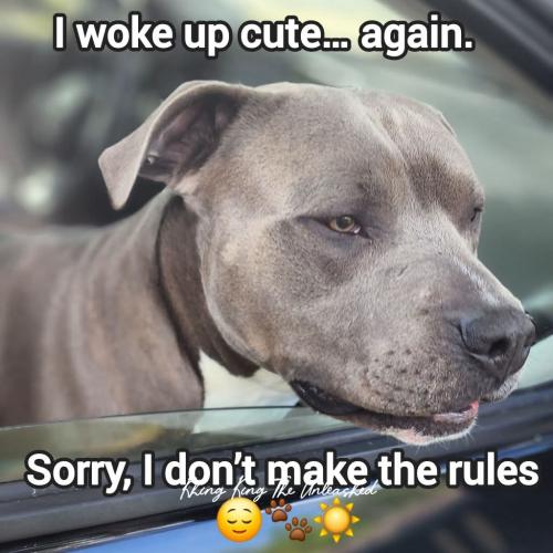 FB_IMG_1749568079704