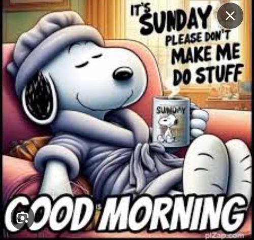 Screenshot_20250629_064305_Google~2