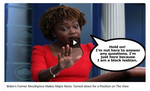 Biden's Mouthpiece screenshot