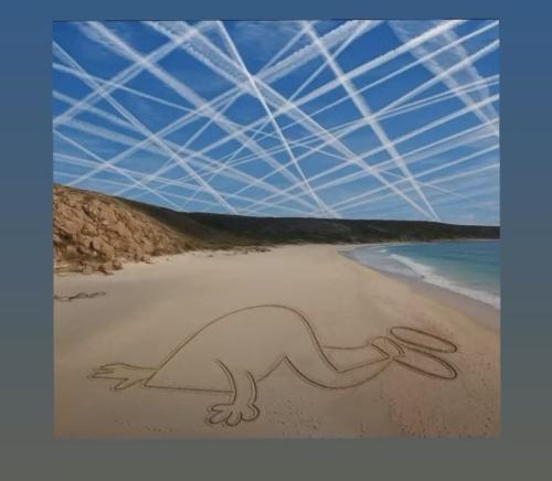 Screenshot_20250610_140838_Facebook