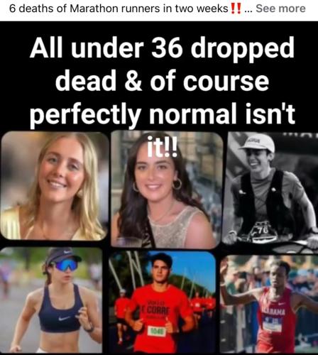 449A1592-7A71-4BDB-BDF6-95C8BBAE5D4F