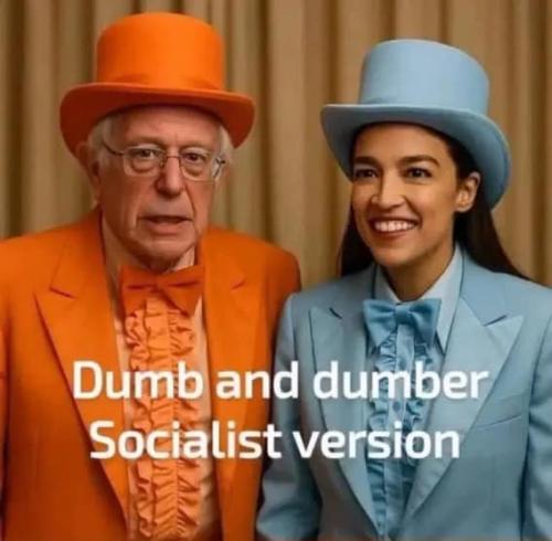 AOC BERNIE