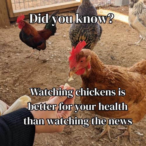 FB_IMG_1748698558303