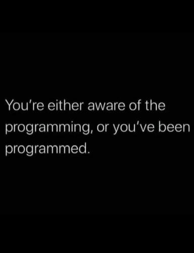 511191544_10233743014211049_6085829584751247950_n