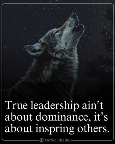 509282576_122259260582023788_2037839873307599356_n