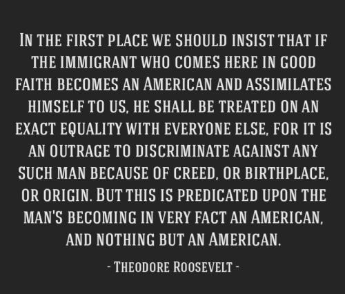 theodore-roosevelt-quote-lbn3g4j