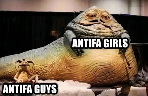 image_78262C4D-3F95-417A-80D3-0DB5A3F91291