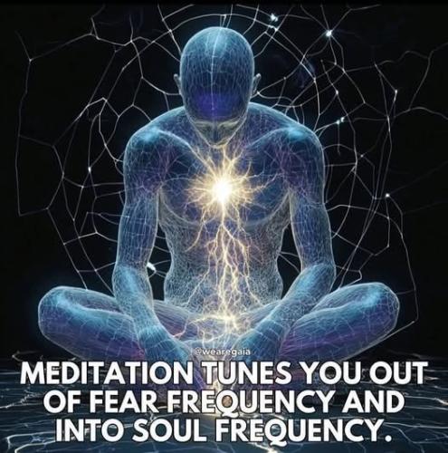 505443232_736207502265511_1119823231074809916_n