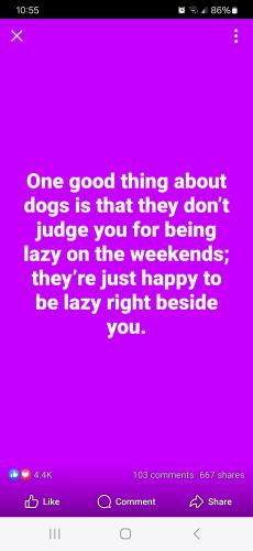 Screenshot_20250608_105501_Facebook