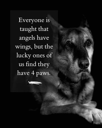 FB_IMG_1748780422791