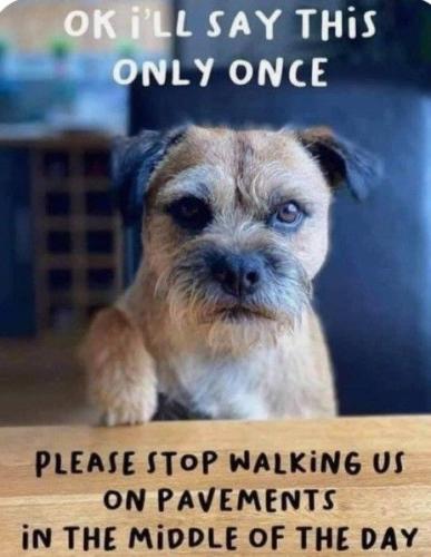 98515cf066ce1feba970605f46b8a58b