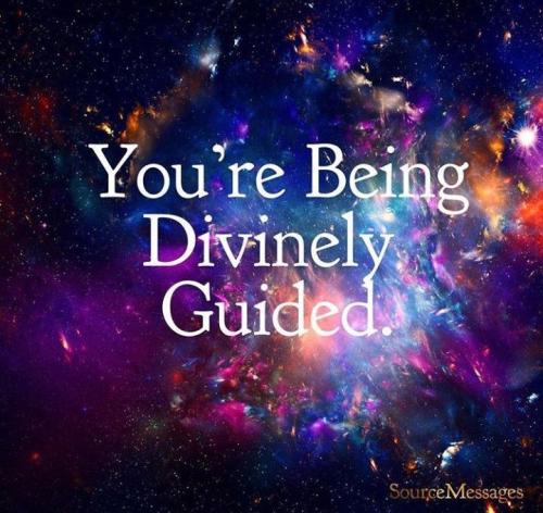 151e1a53e0951f4ff62a528340921e81