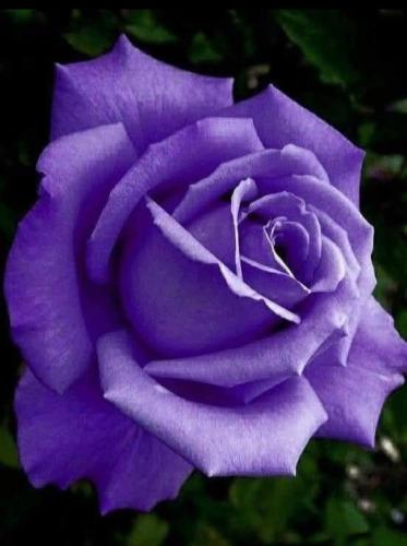 FB_IMG_1750514064944