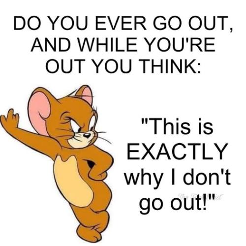 508840137_1187673753163507_1167586502236825953_n