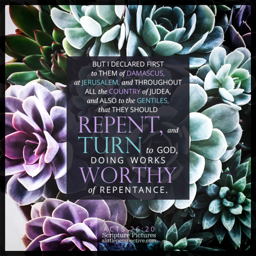 act-26-20-WEB-unsplash