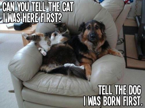 c917250f45c617cc6dd58167ab417751