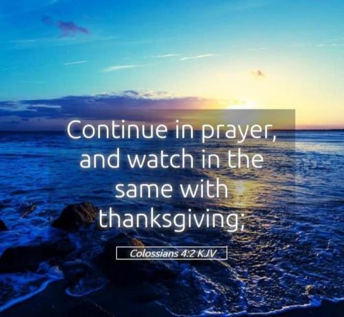 51c451a8-0f15-46d2-9bd5-0d10c50e1b80