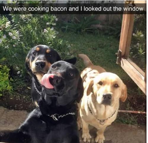 FB_IMG_1749517447282