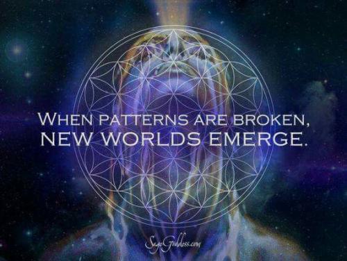 cd46a3e808cc3ce8e3f623615eee48b9