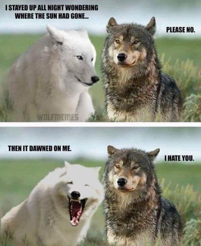 FB_IMG_1559460026248