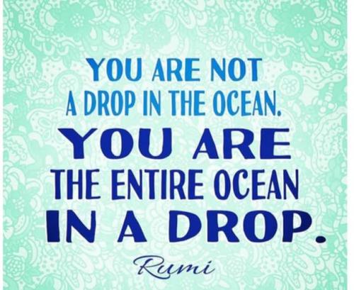 499847780_722799913969537_9206233855162287182_n