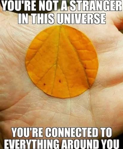 513992939_122217039392088259_7295446227930174119_n