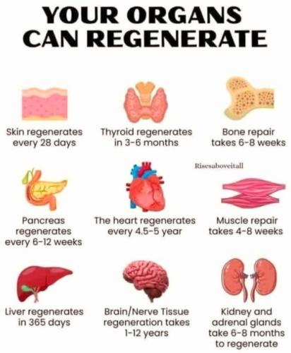 ,                GAkHyqHWIAACt_p