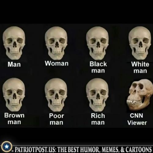 01JWZ6S68M6CKK7NKA5PV7NG85