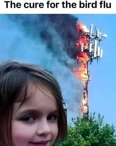 baa8bc2fc1d40e9c003954c79ed1a8f1_1024