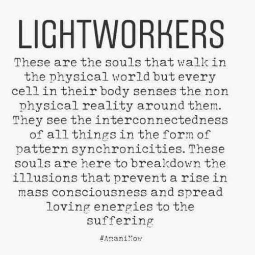 4928faeef0ea9d44359b9dedd03be8d0