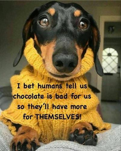 FB_IMG_1748893182730