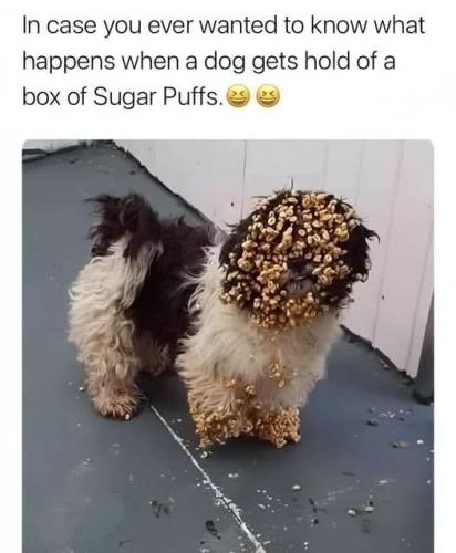 FB_IMG_1748710917393