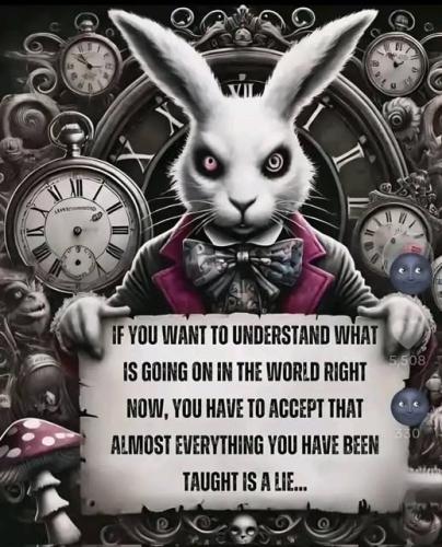 513252656_1143456281150743_5702679101423264545_n