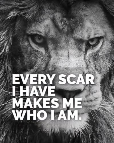 482348395_122157213440368155_3502778709702610563_n