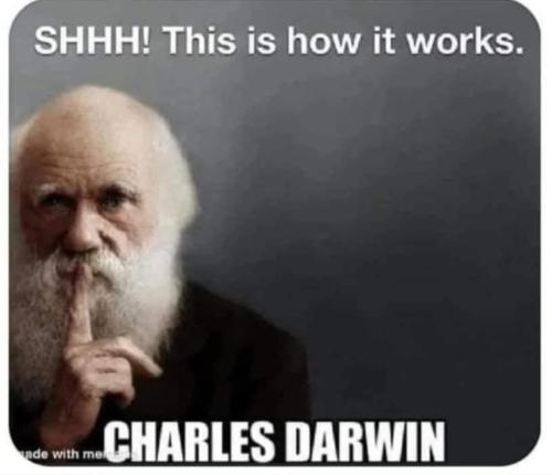 Screenshot_20250603-074947_Facebook