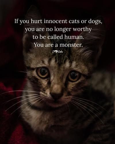 FB_IMG_1749394380650