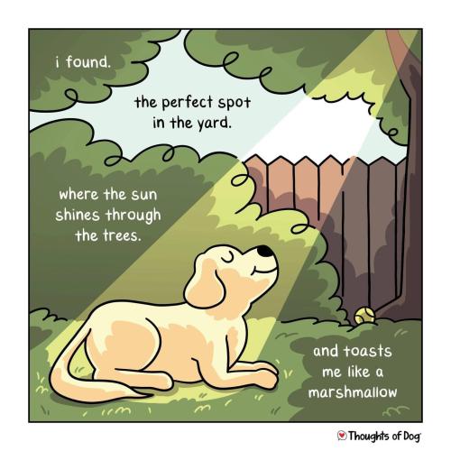 FB_IMG_1749831202497