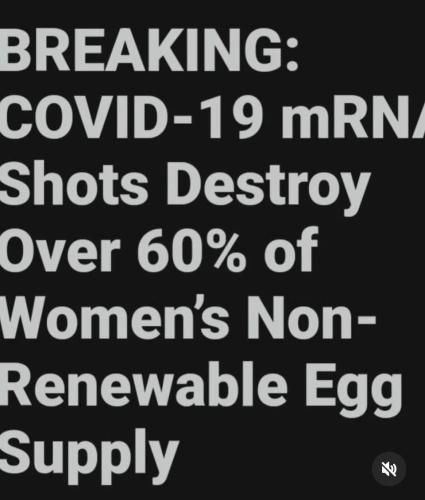 499527266_676112588509689_8320405463182146997_n