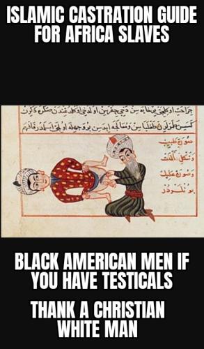 ZomboMeme 09062025202611