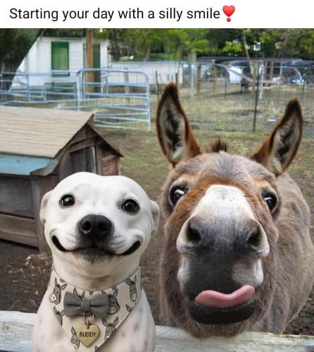 FB_IMG_1750182049908