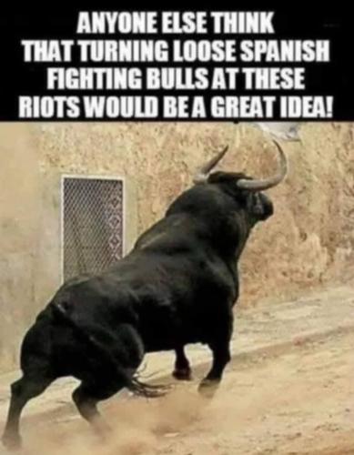 244D8B25-83A8-499C-B161-3AB241E6582E