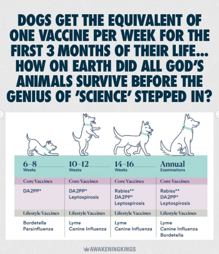 Screenshot 2025-06-01 101144