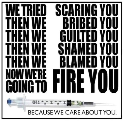 IMG_20250608_122805_735